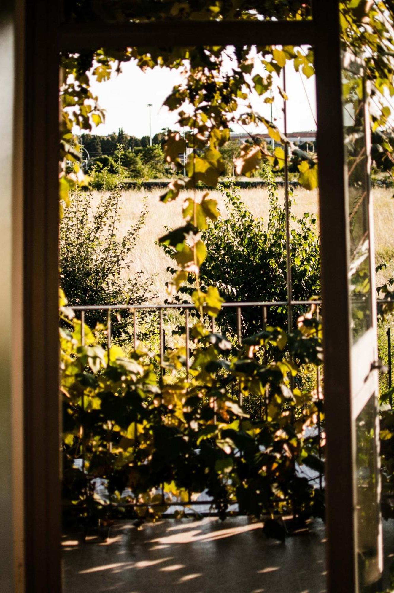 ברגמו Buonocore Guesthouse מראה חיצוני תמונה